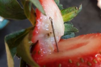 10241044-3x2-700x467